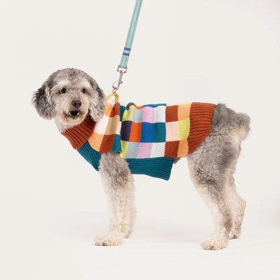 Color Patch Dog Sweater Desert