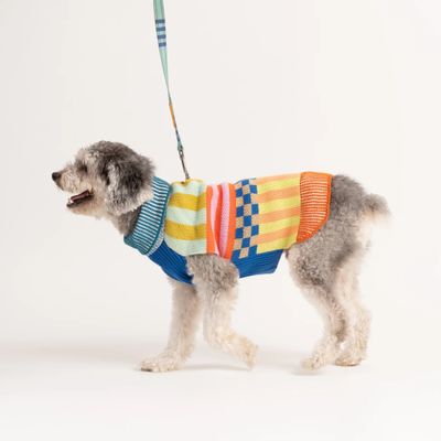 Pattern Patch Dog Sweater Candy