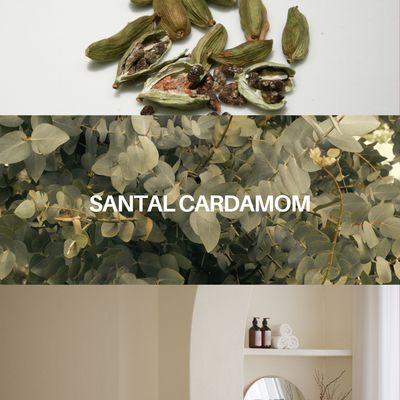 Santal Cardamom Candle &amp; Playlist