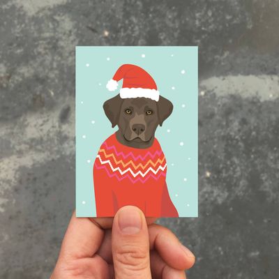 Festive Lab Enclosure
