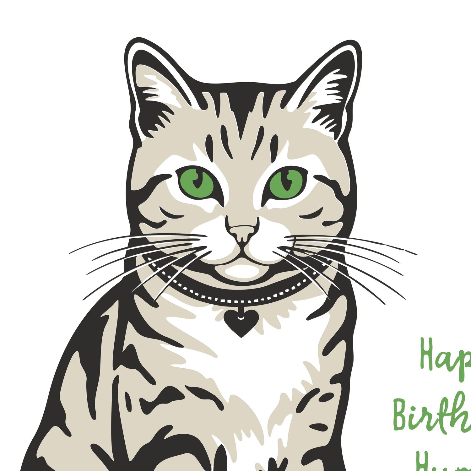 Pilates Birthday Cat