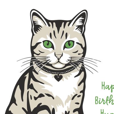 Pilates Birthday Cat