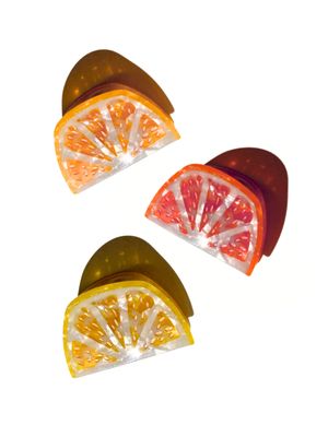Citrus Grapefruit Slice Claw Hair Clip