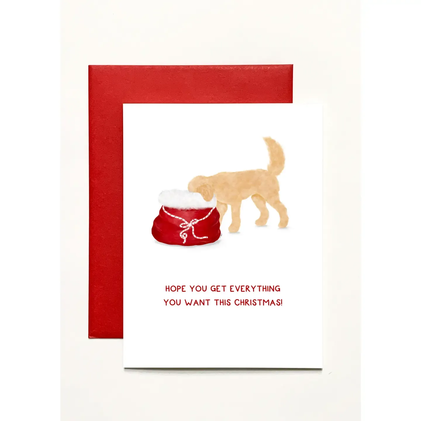 Maple Peeking Into Santa Toy Sack Notecards
