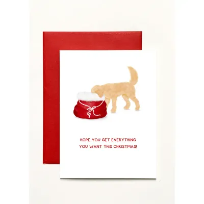 Hope You Get Everything You Want This Christmas!