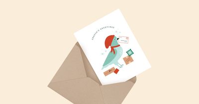 Season's Greetings - Pigeon Design