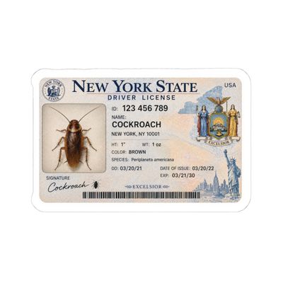 Cockroach's Driver License New York Vinyl Sticker