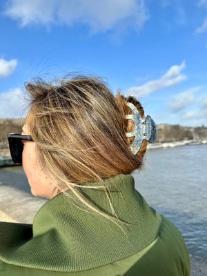Octopus Claw Hair Clip