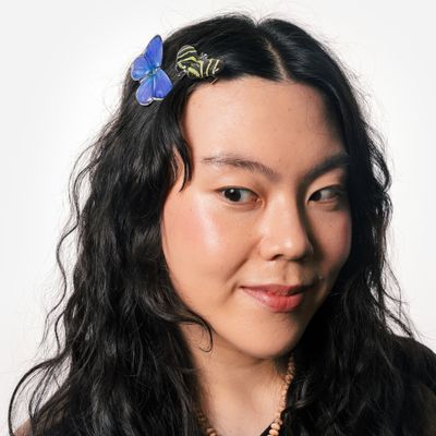 Allie Butterfly Clips in Light Catchers