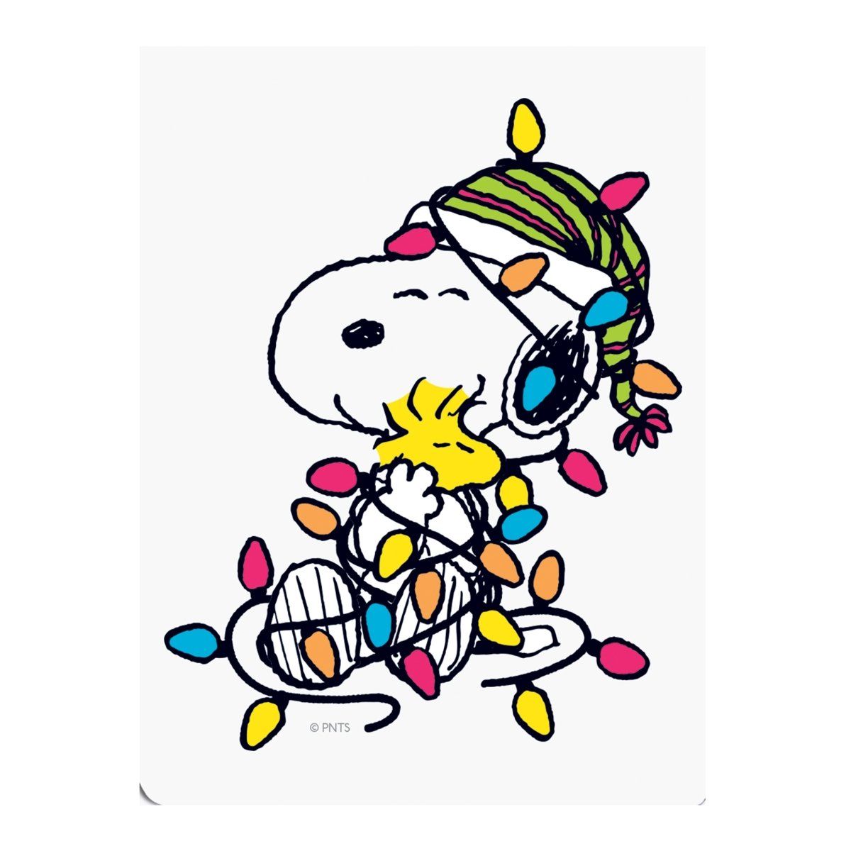 Peanuts® Lights Holiday Pocket Note