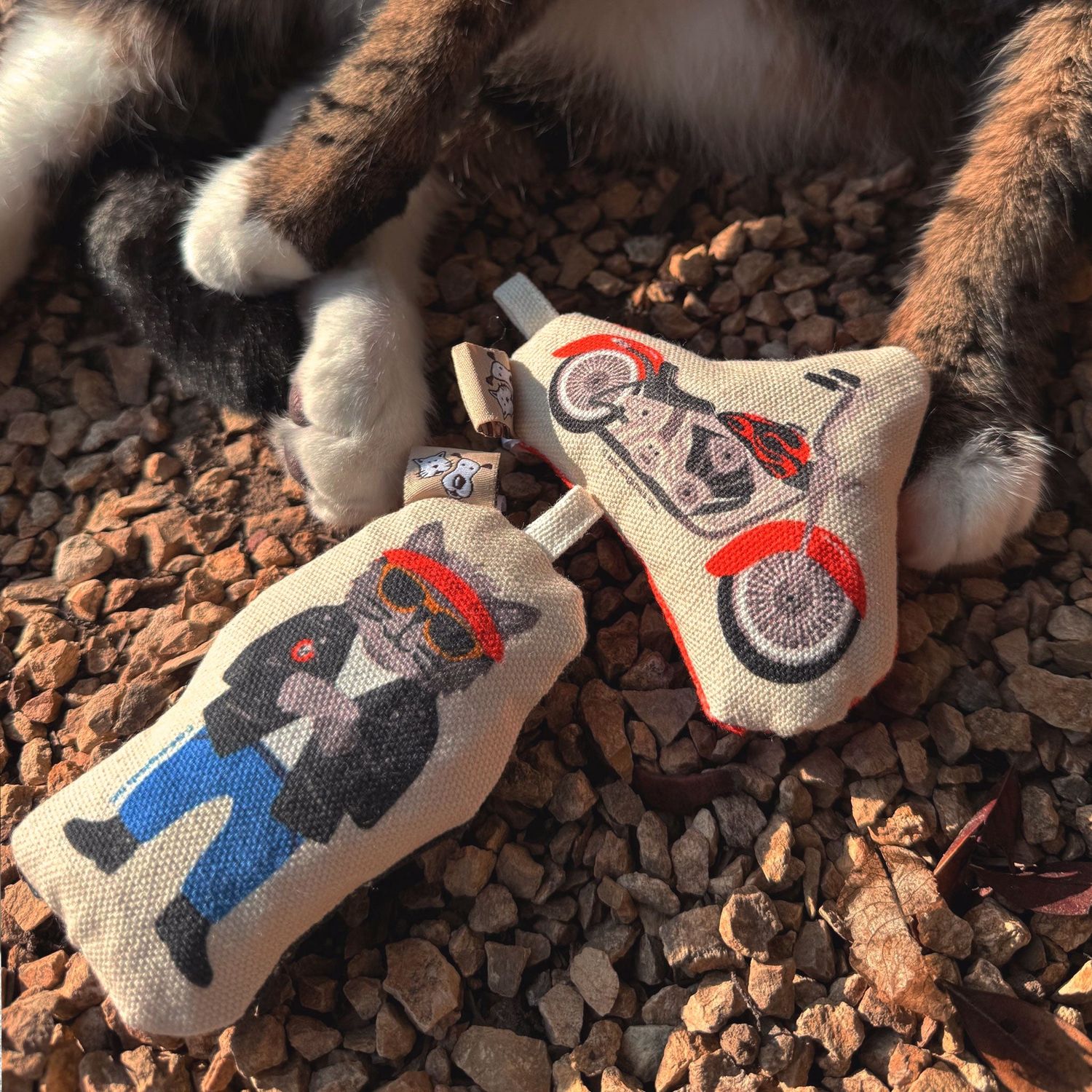 Go Kitty Go Set Ski Kitty