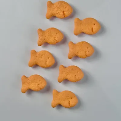 Goldfish Magnets – Handmade Resin, Set of 8