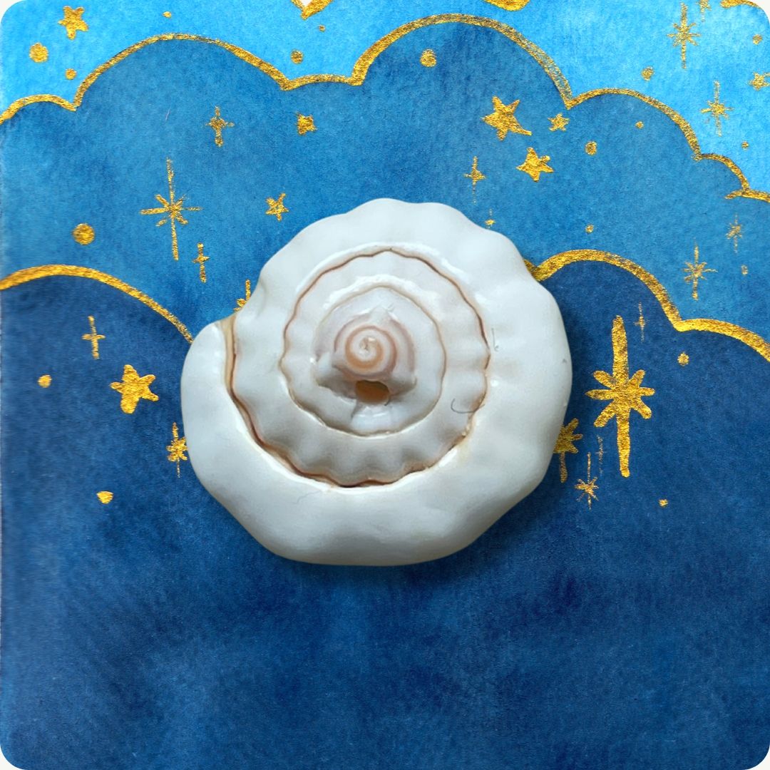 Märchen: Moti