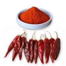 SPICY & SPECIAL