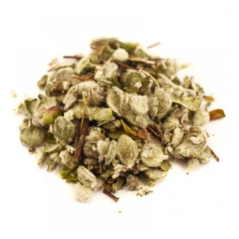 DIKTAMOS Thee