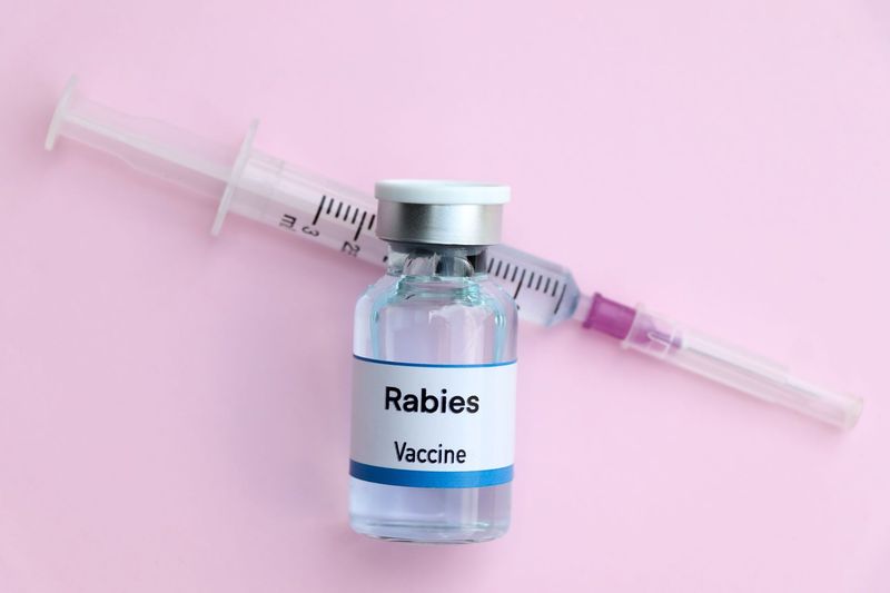 Rabies Vaccination