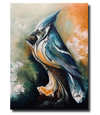 Blue Jay Royale