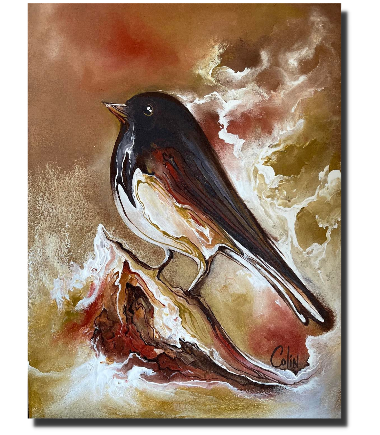 Dark Eyed Junco