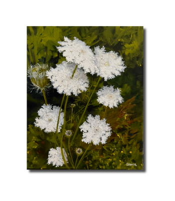 Queen Anne's Lace