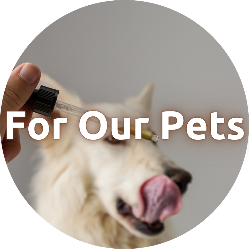 For Our Pets