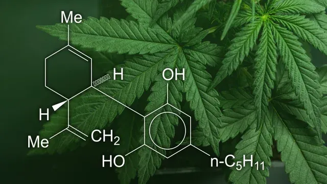 4500mg CBD Horse Tincture, THC Free