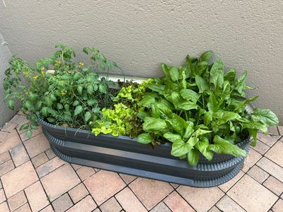 IBR Planter Box - Raised Garden Bed&#39;s
