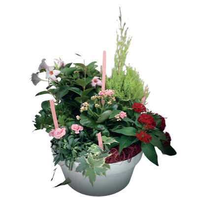 Coupes de plantes