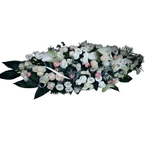 Raquette - Dessus de cercueil 6-1 Raquette - Dessus de cercueil 6-1