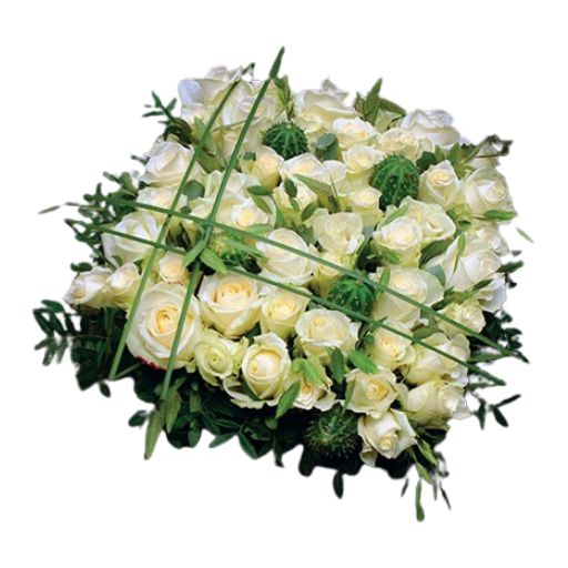 Coussin 7-1 Coussin 7-1
