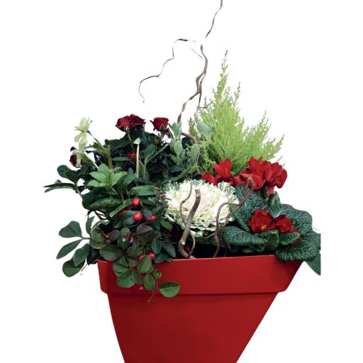 Coupe 13-3 Coupe 13-3