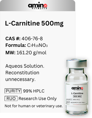 L-Carnitine 500mg | 10mL