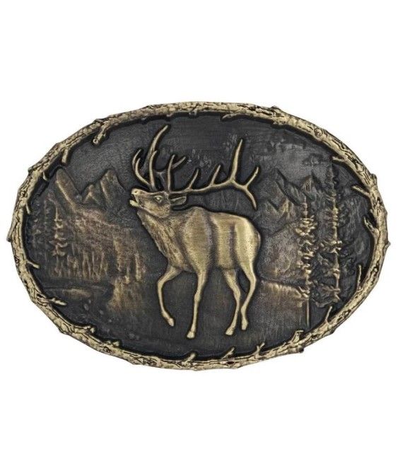 A889 ELK