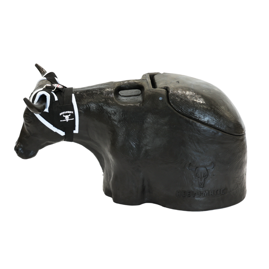 Bones 2.0 Roping Dummy