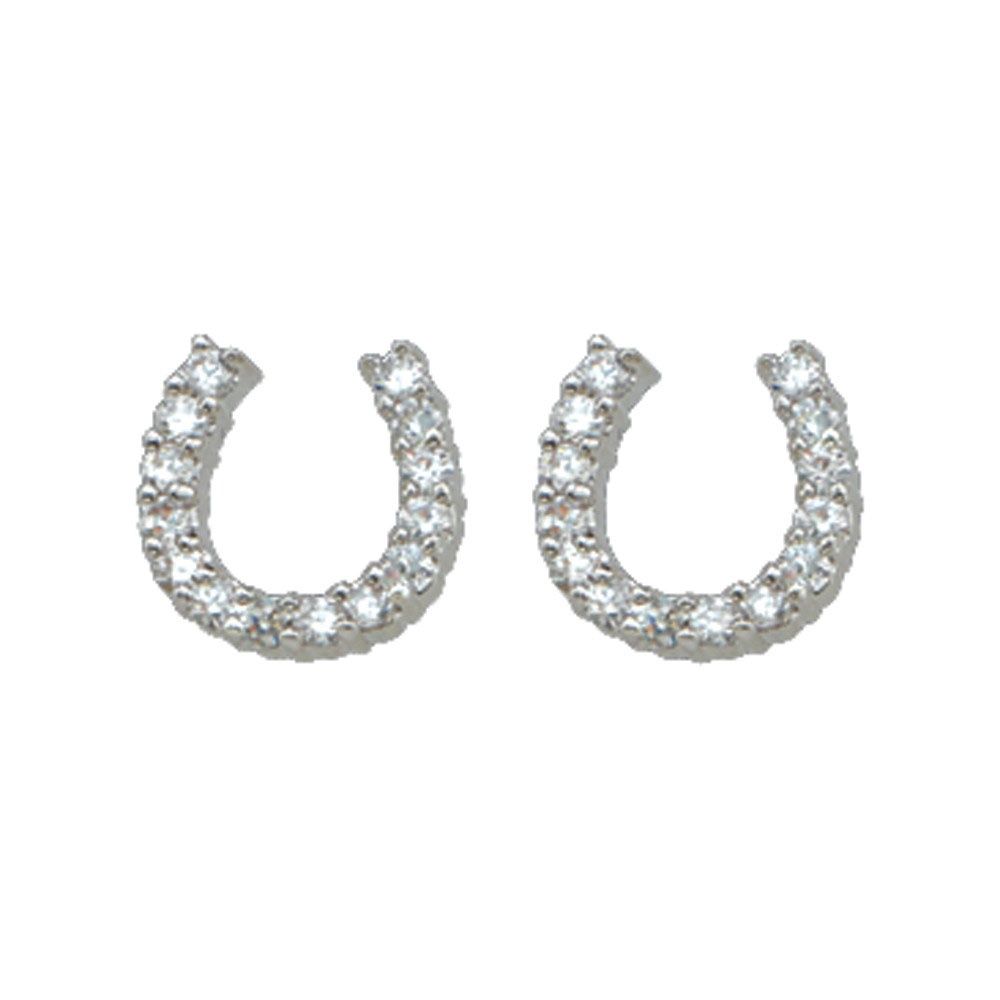 ER1251 SlvrCzHorseshoe