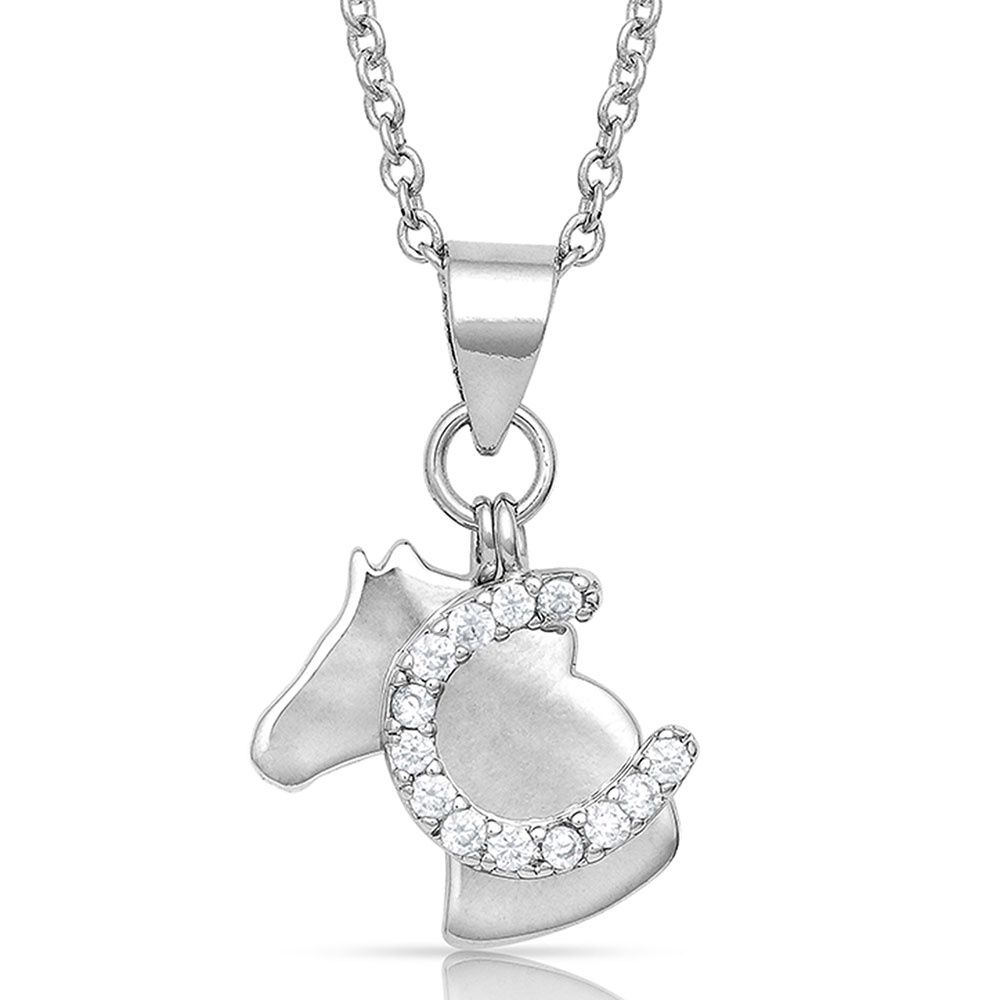 NC4763 Horse/shoe