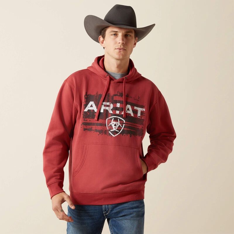 10062494 MNS FLAG HOODIE