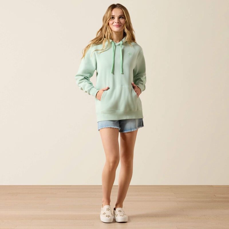 10071459 WMS ARAIT LOGO HOODIE SILT GREEN