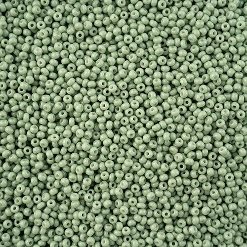 Seed Bead 11/0 Vial Eucalyptus Chalk Dyed Solgel apx23g
