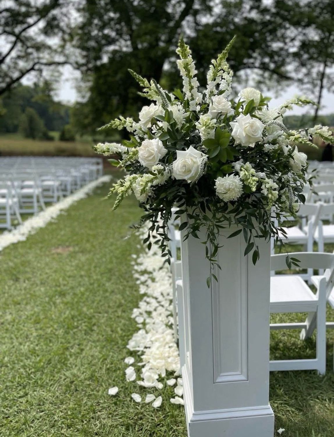 Ivy Aisle Decor