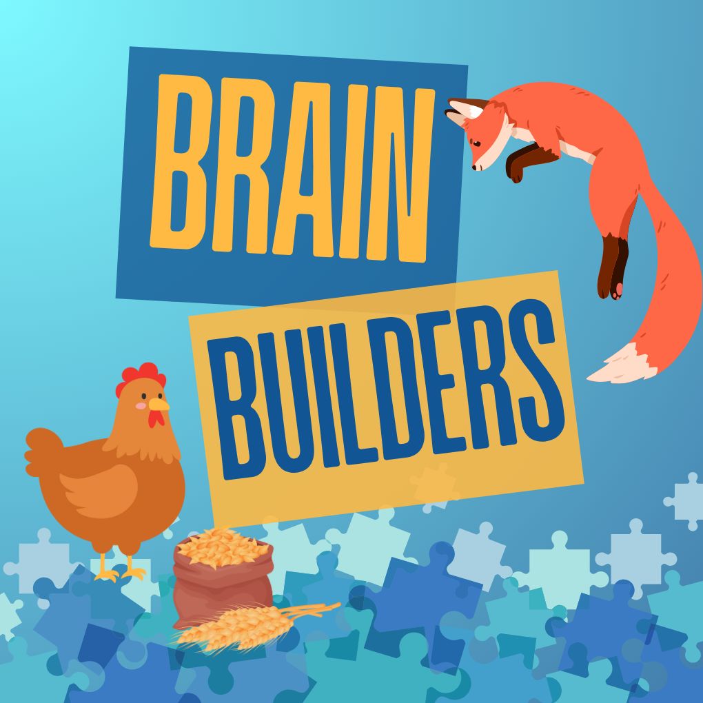Brain Builders: Problem Solving Challenges