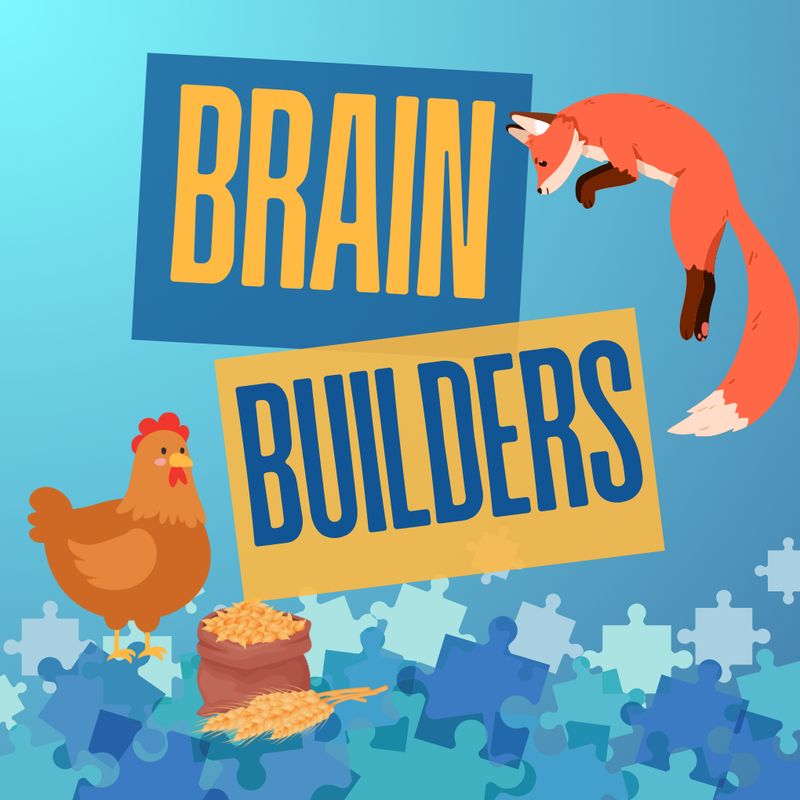 Brain Builders: Problem Solving Challenges
