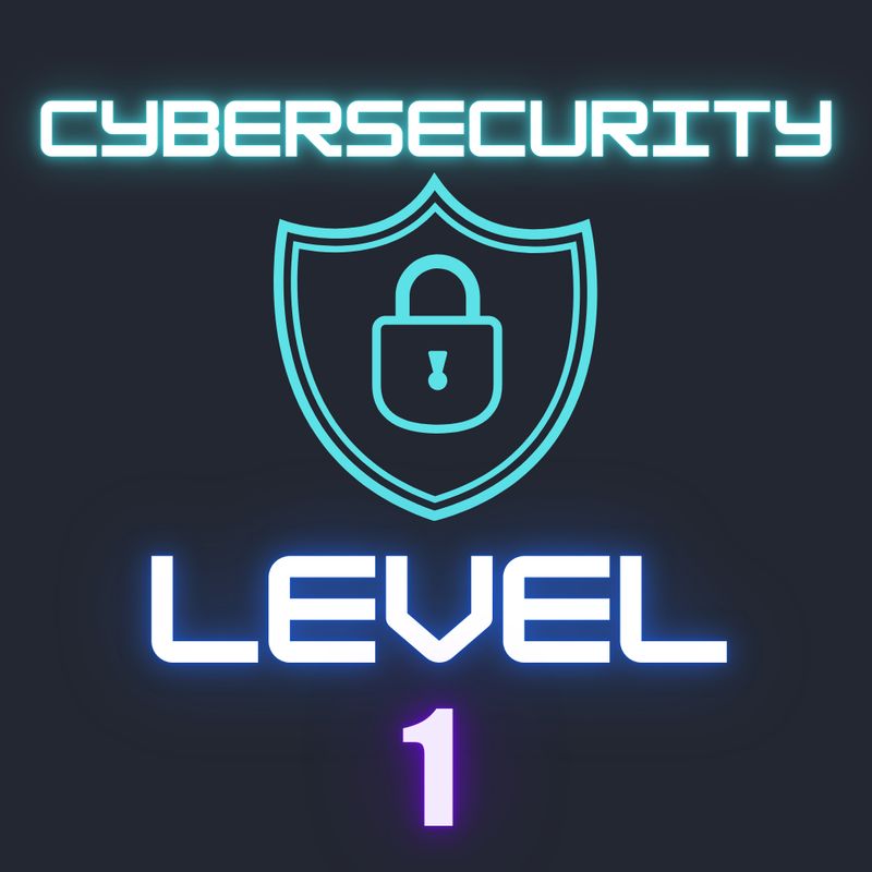 Cybersecurity 1 (Teens)
