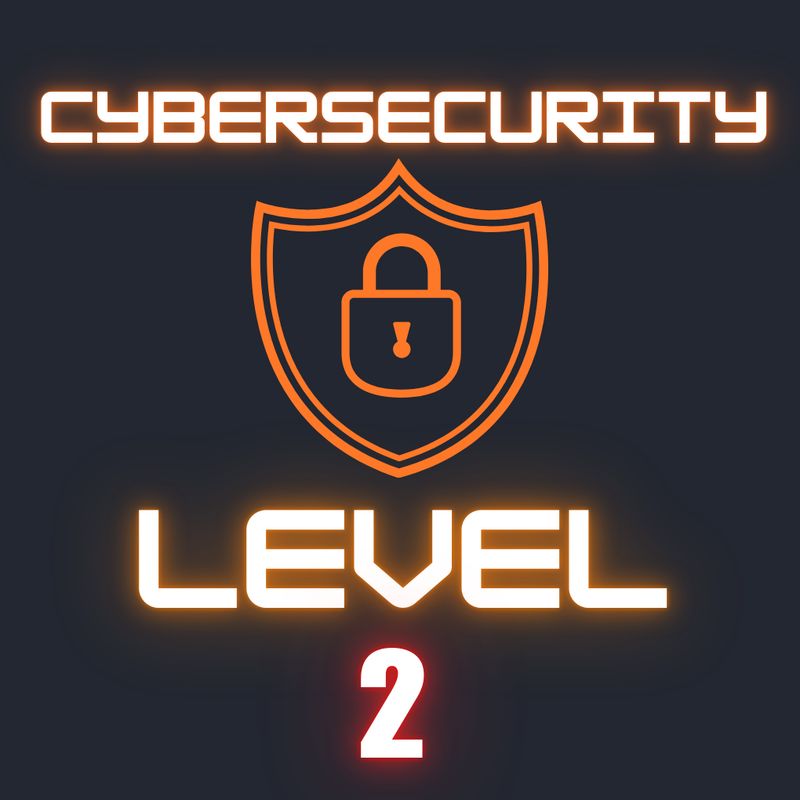 Cybersecurity 2 (Teens)