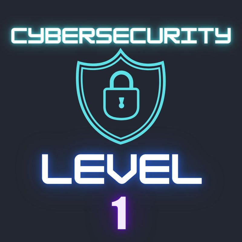 Cybersecurity 1 (Adults)