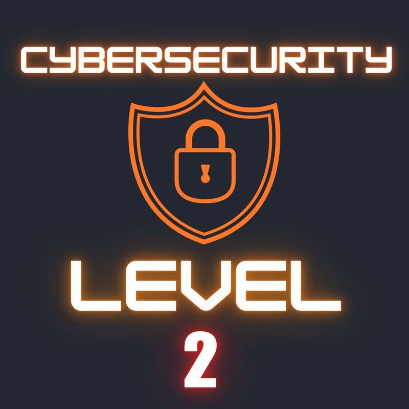Cybersecurity 2 (Adults)