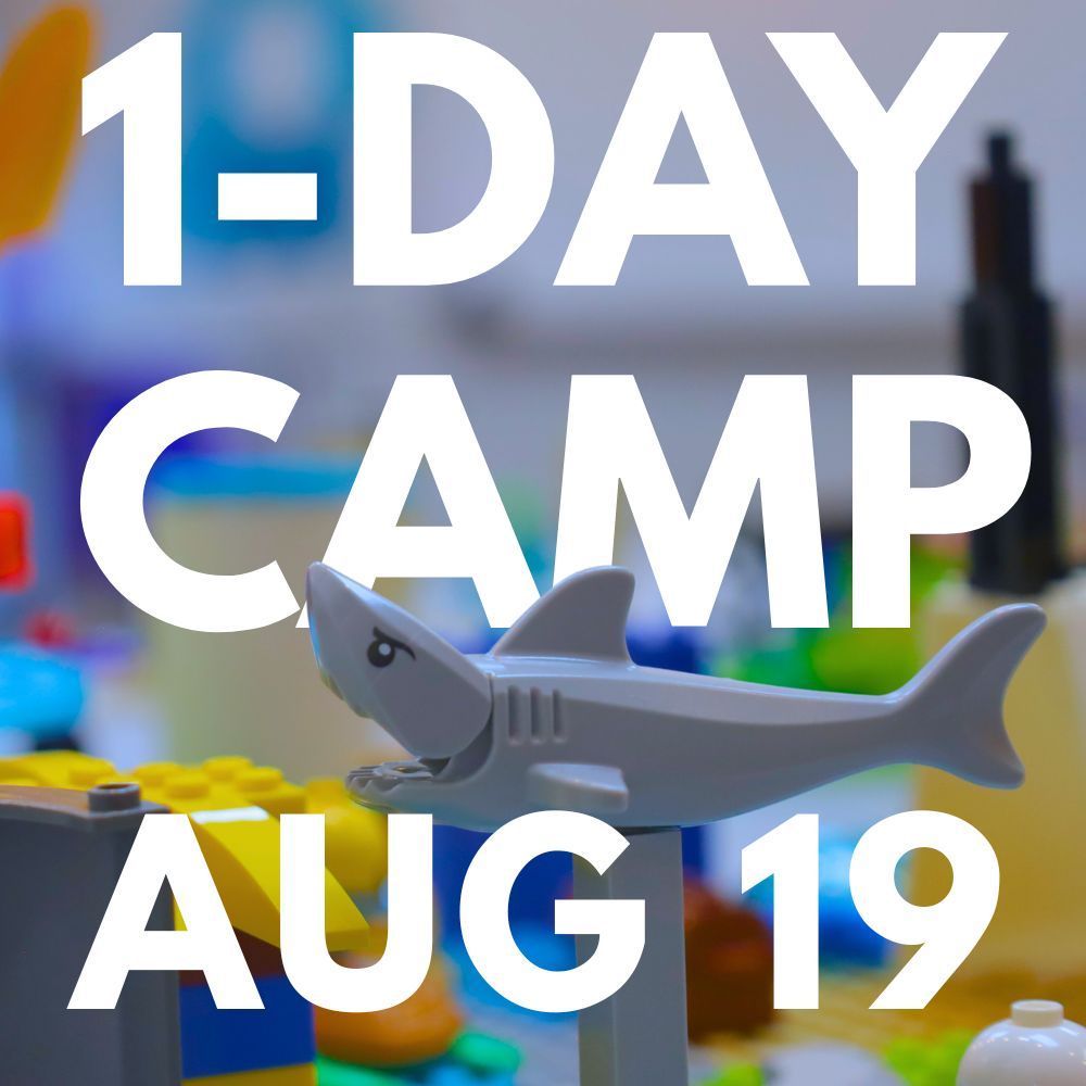1-Day Camp on 2025-08-19