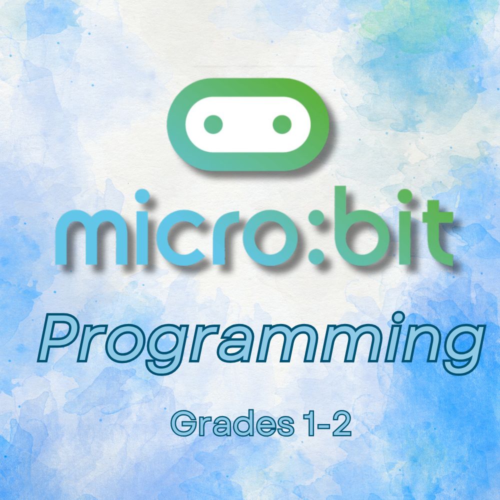 Micro:bit Programming (Grades 1 and 2)
