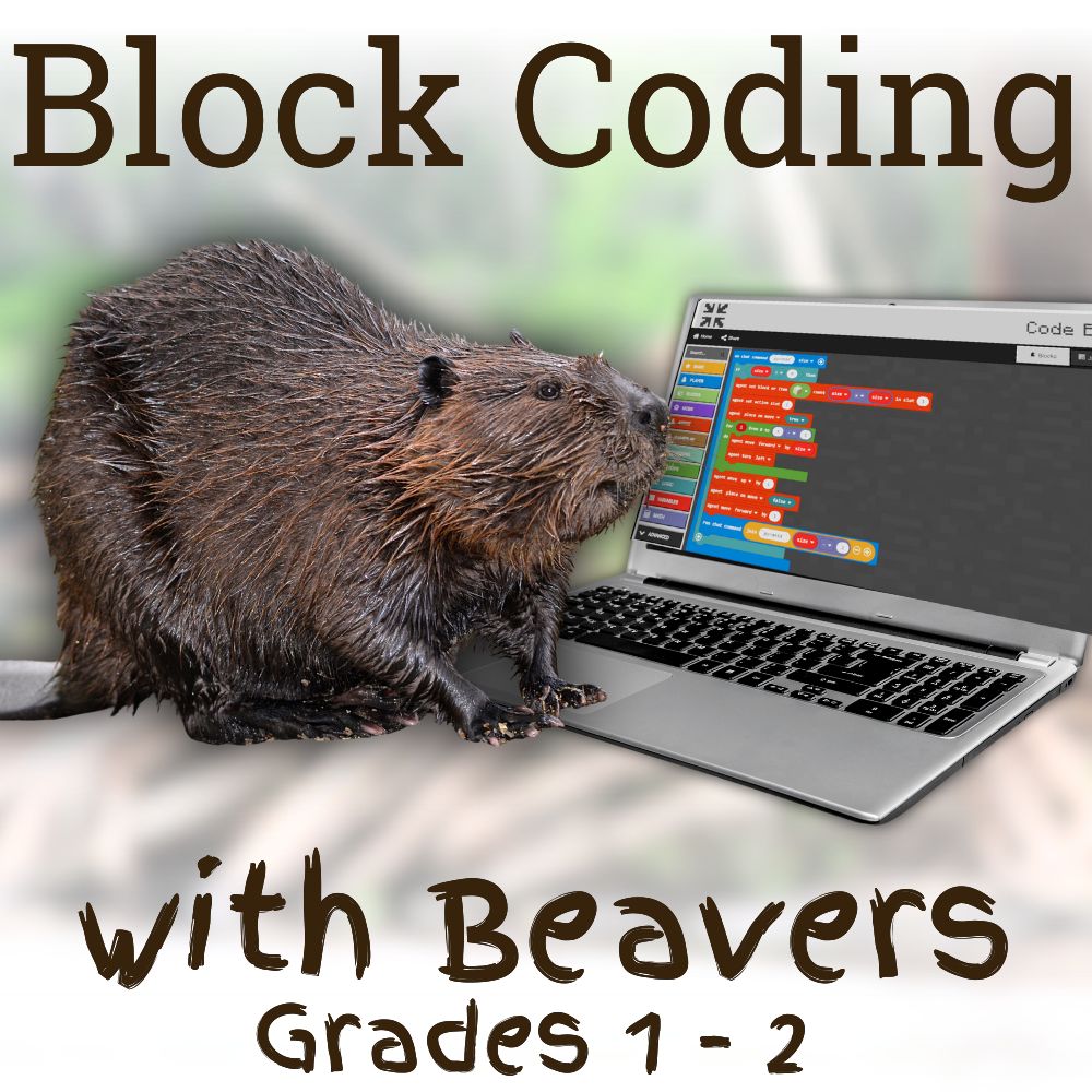 Block Coding with Beavers