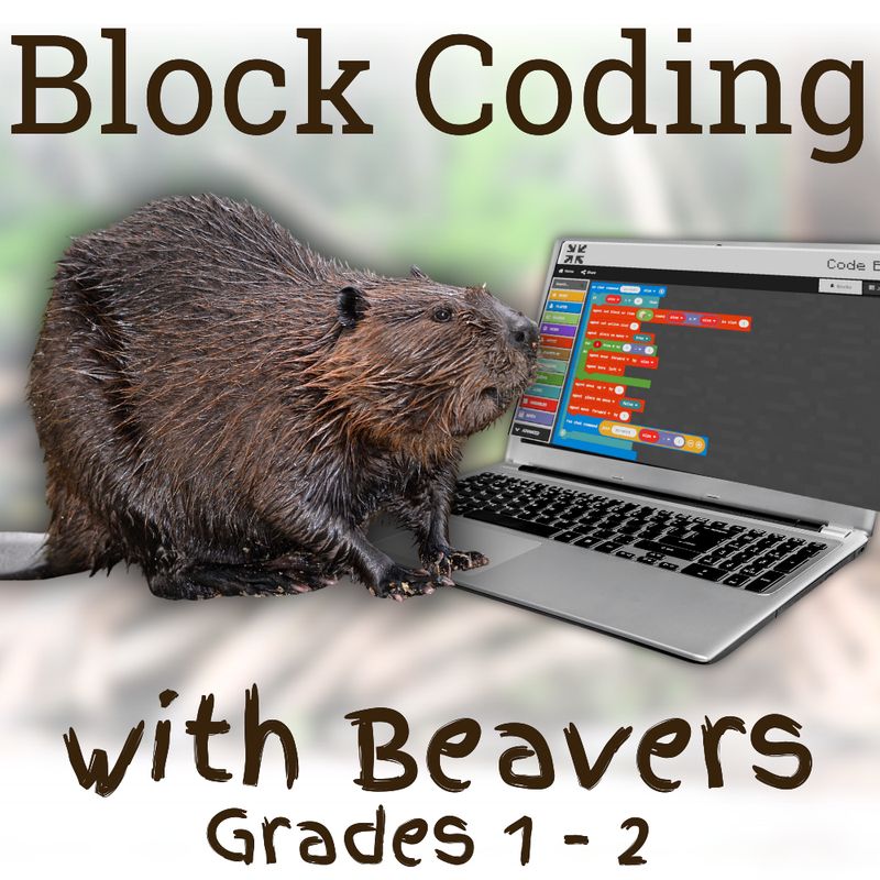 Block Coding with Beavers