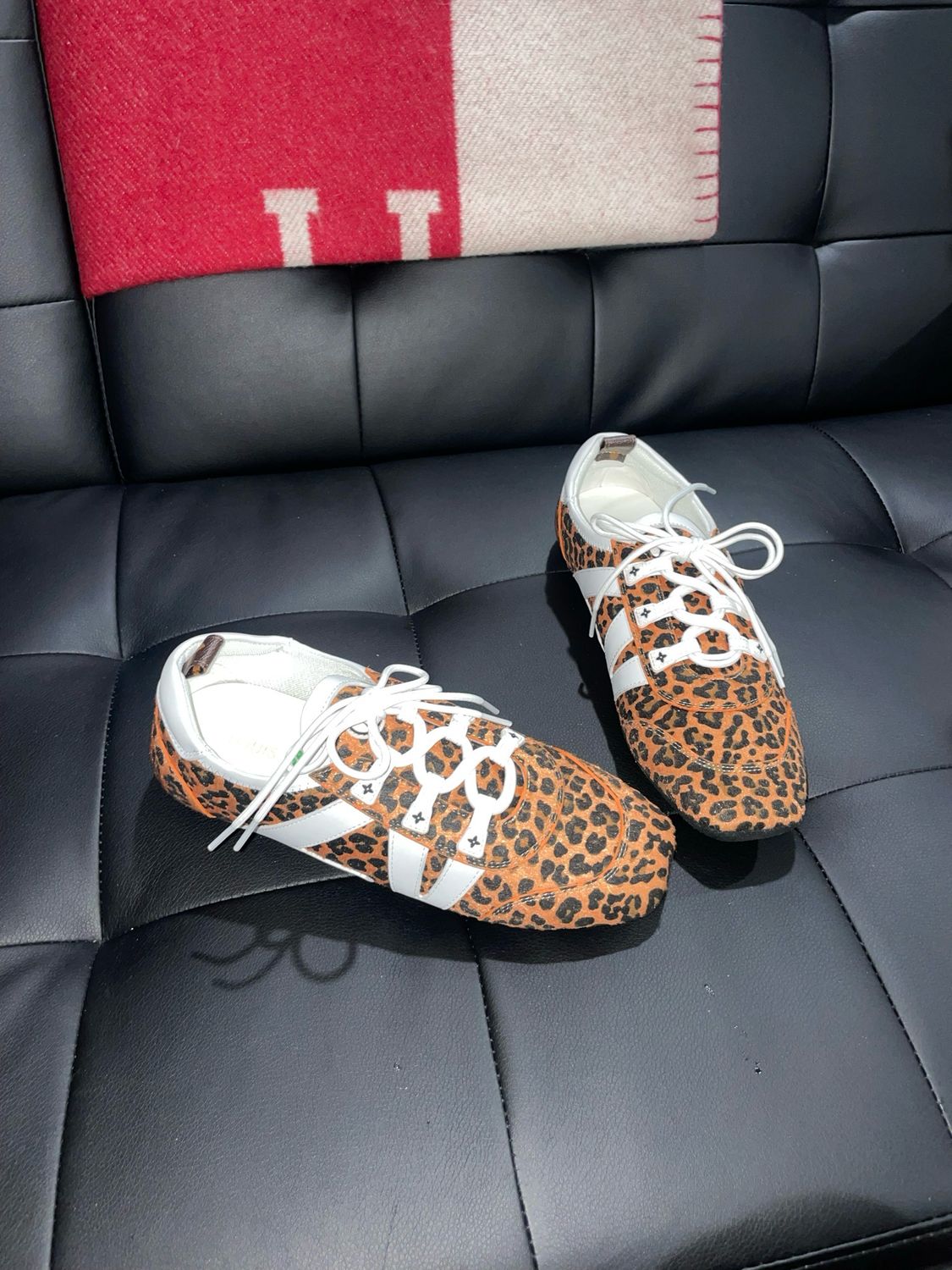Louis Vuitton Shoes